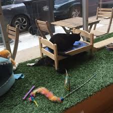 Kawaii Kitty Cafe in Queen Village is Meow Open